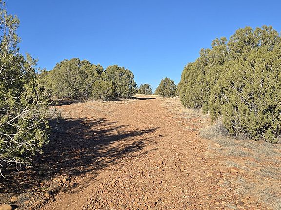 4th image of S Arena Estates Dr