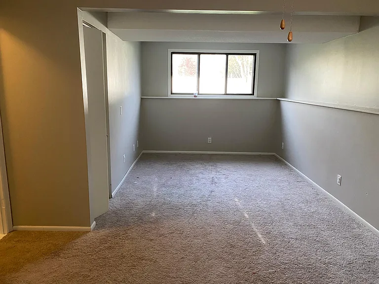 Basement living room