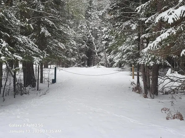 75 Evelyn Ave, Grayling, MI 49738