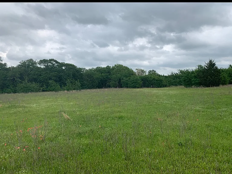 1449 County Road 4131 — Photo 10