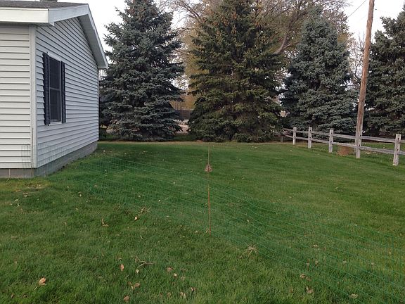 West side of the yard