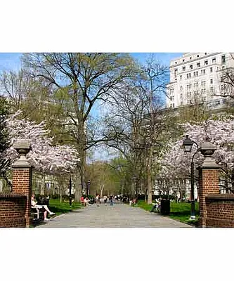 Rented by MetroNest | media 20