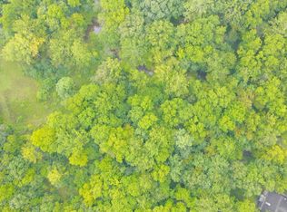 V/l W Garbow Rd, Middleville, MI 49333