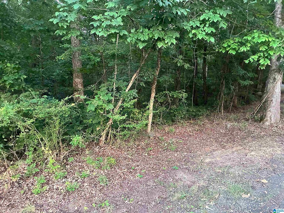 1st image of 1119 Shortown Branch Rd