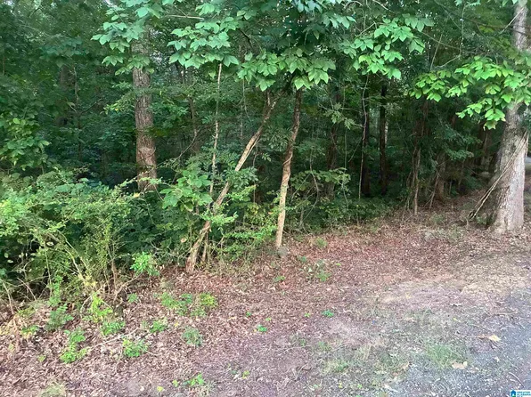 1119 Shortown Branch Rd, Bessemer, AL 35023
