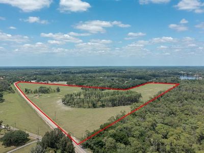 Boy Scout Rd, Odessa, FL, 33556
