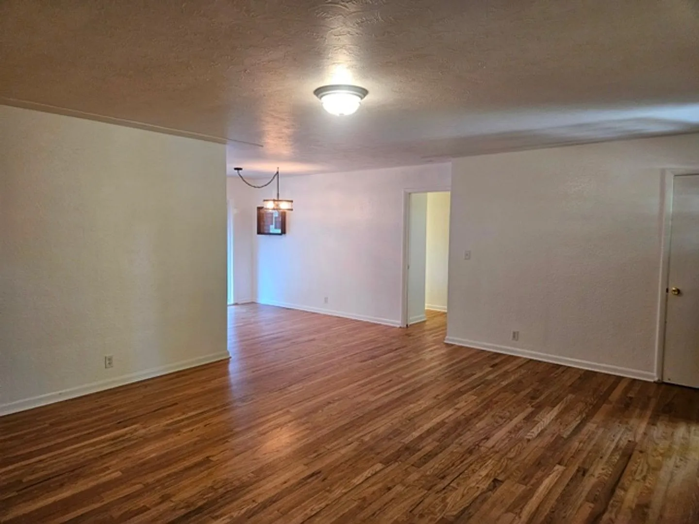 3Bd/1.5Ba Single Story House - Available End of Sept! — Photo 3