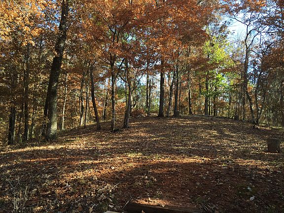 House site in October