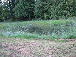 2nd image of Fern Hill Rd