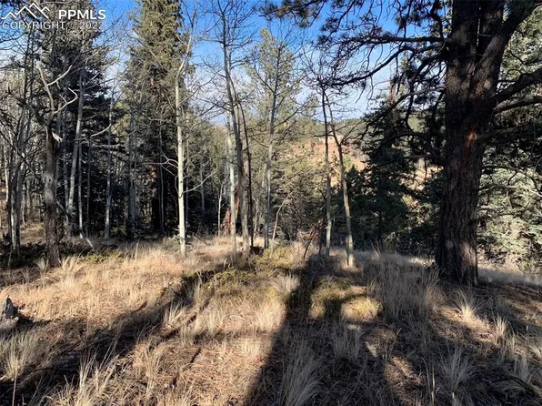 369 Gold King Dr, Cripple Creek, CO 80813