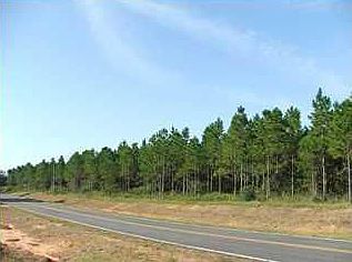 1st image of 6909 Highway 393