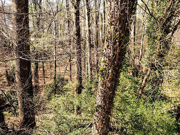 5th image of 4017 Balsam Dr #99