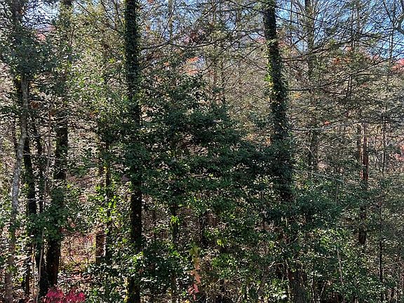 4th image of 4 Reba Ln Lot 4