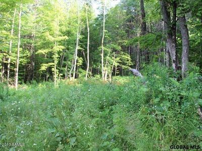 L12 STATE ROUTE 28, Wevertown, NY, 12886