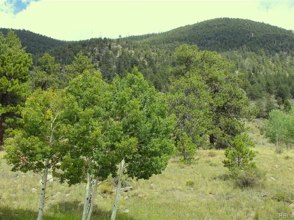 Hwy 24, Hartsel, CO 80827