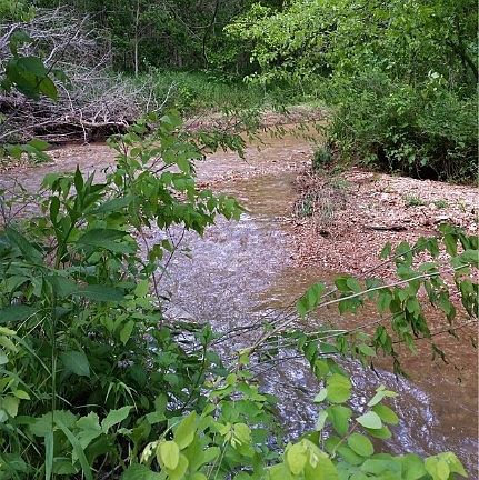 2nd image of W Highway 127