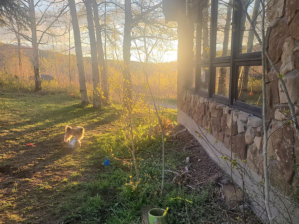 Sunsets are amazing