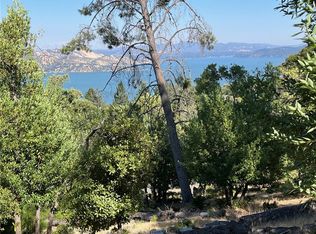 3599 Pine Terrace Dr, Kelseyville, CA