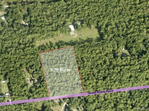 10100 S Evans Point, Inverness, FL 34452