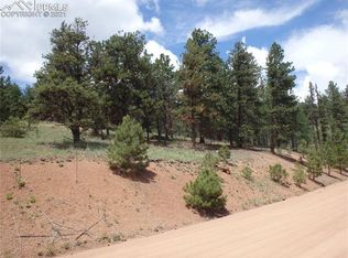 195 Dandy Jim Dr, Cripple Creek, CO 80813