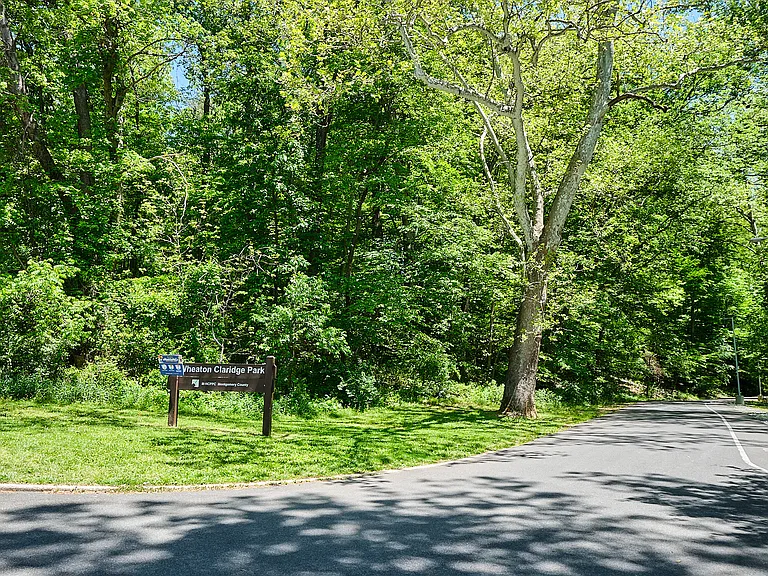 11714 College View Dr — Photo 56