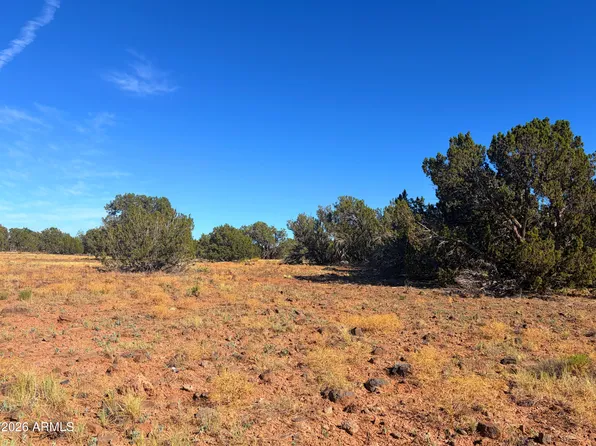 8571 ELKHORN Drive #380, Show Low, AZ 85901