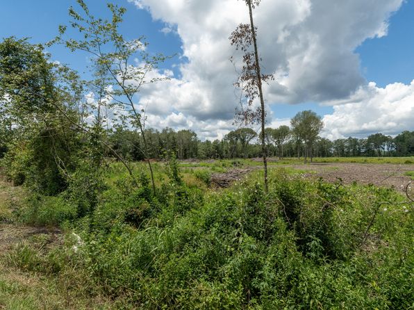 0 Macedonia Rd PARCEL 5, Petal, MS 39465