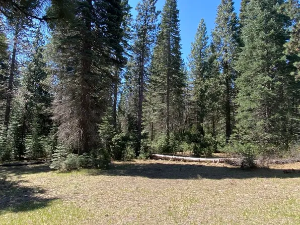 2-D-20 Widow Springs Dr, McCloud, CA 96057