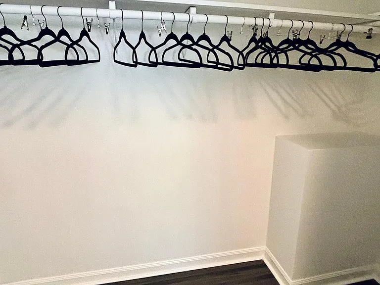 Dedicated walk-in closet with hanging rod and ample space to organize clothing, shoes, and storage bins.