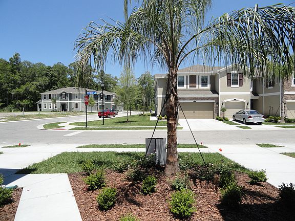Street in Front of House