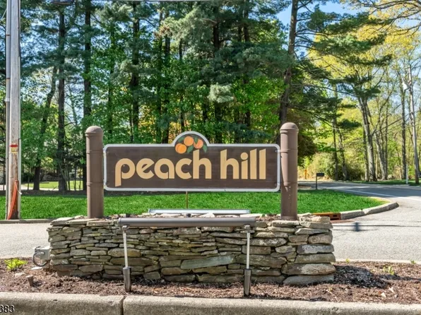 57 Peach Hill Court, Ramsey Boro, NJ 07446
