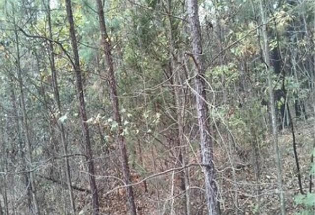 1st image of Fannie Mae Dr Lot 3