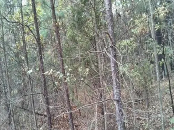 Fannie Mae Dr Lot 3, Broken Bow, OK 74728