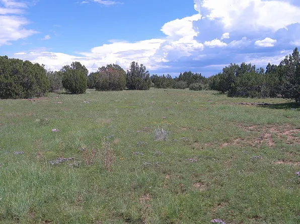 8571 Pine Ln, Snowflake, AZ 85937