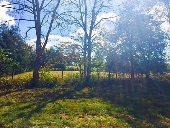 2nd image of 98 Bluegrass Dr
