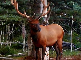 Tbd Dave Wood Rd, Montrose, CO 81403