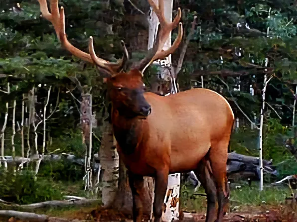 Tbd Dave Wood Rd, Montrose, CO 81403