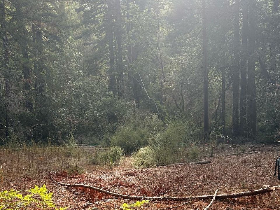 2nd image of 235 Double Bogey Dr
