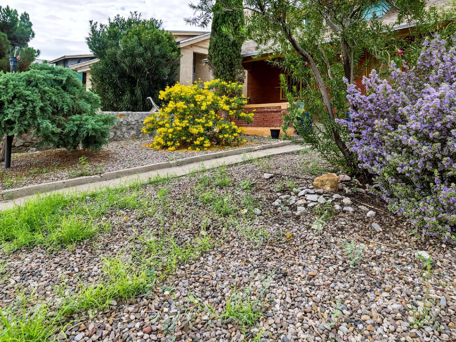 1 bed, 1.0 bath, 888 sqft, $1,650 — Photo 4