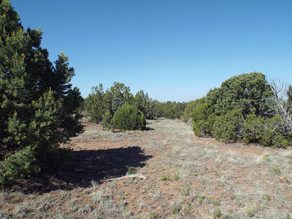 2nd image of 107-48 74