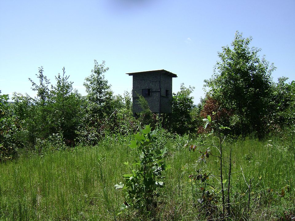 2nd image of Bear Pen Rd