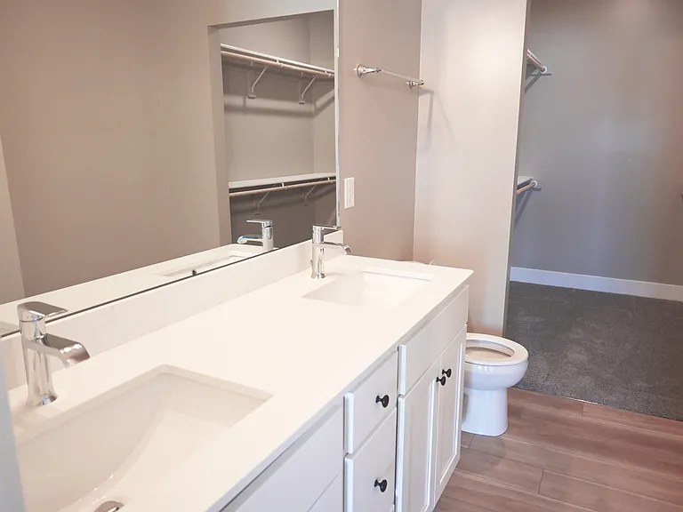 Bathroom with attached walk-in closet.