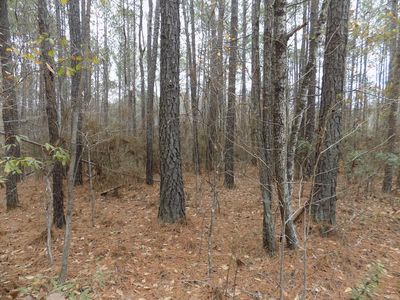 0 Mullins Rd, Hamilton, GA, 31811