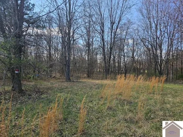 307 Ball Park Loop, Ledbetter, KY 42058
