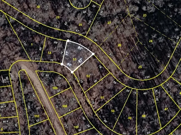 0 Alpine Dr Lot 53, Smithville, TN 37166