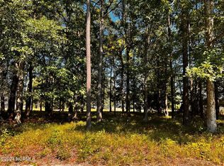 419 Cypress Landing Trl, Chocowinity, NC 27817