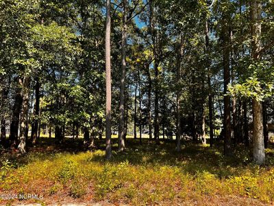 419 Cypress Landing Trail, Chocowinity, NC, 27817