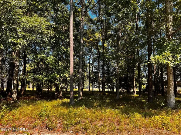 419 Cypress Landing Trail, Chocowinity, NC 27817