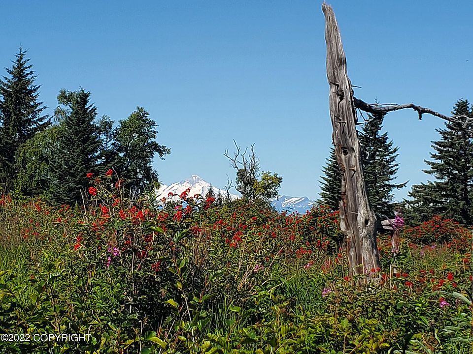 17259 Kimeluk St, Ninilchik, AK 99639 MLS 2214684 Zillow