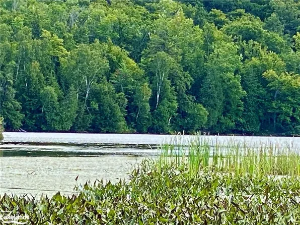 151 Maple Dr, Parry Sound, Unorganized, Centre Part, ON P0H 1S0